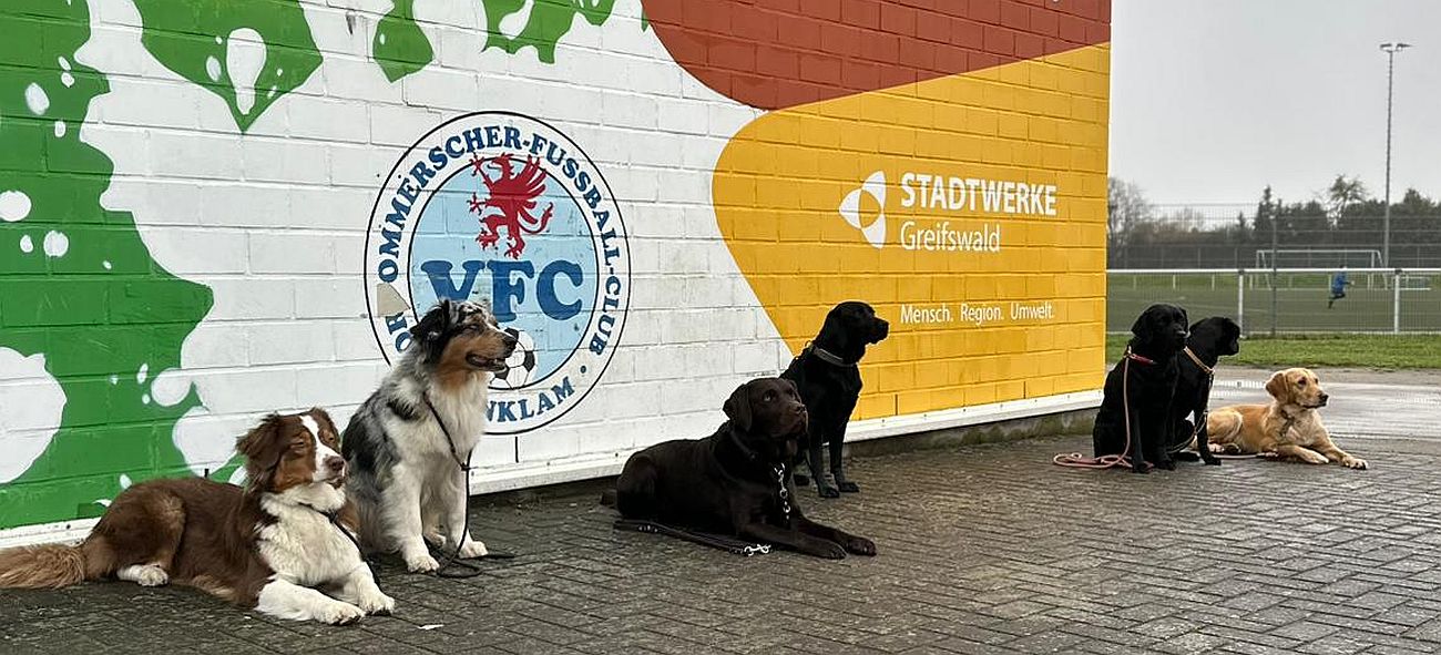 Friedländer Hundesportverein ist zu Gast im Anklamer Stadion